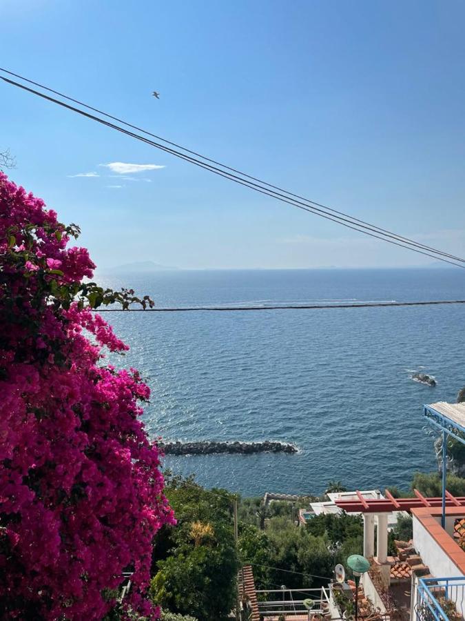 La Rosa Dei Venti Villa Massa Lubrense Ngoại thất bức ảnh