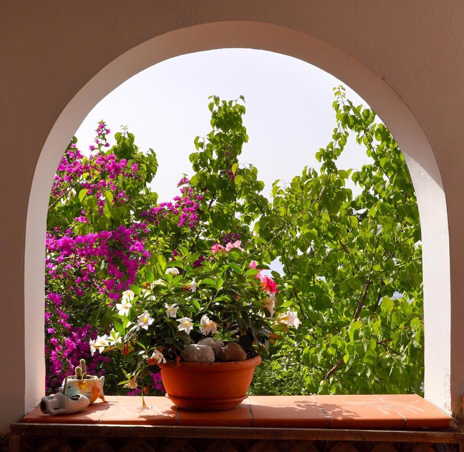 La Rosa Dei Venti Villa Massa Lubrense Ngoại thất bức ảnh