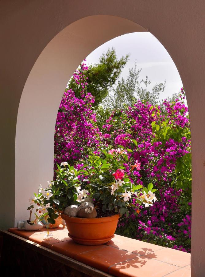 La Rosa Dei Venti Villa Massa Lubrense Ngoại thất bức ảnh
